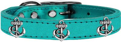 

Mirage Pet Products Dog Everyday Collar(, Blue