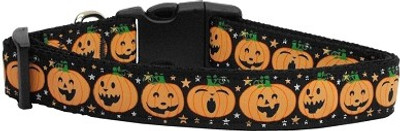 

Mirage Pet Products Dog Everyday Collar(, Multicolor