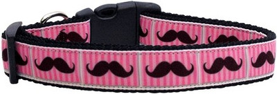 

Mirage Pet Products Dog Everyday Collar(, Multicolor