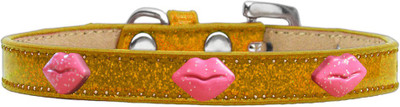 

Mirage Pet Products Dog Everyday Collar(, Gold
