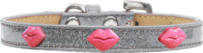 

Mirage Pet Products Dog Everyday Collar(, Silver