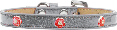 

Mirage Pet Products Dog Everyday Collar(, Silver