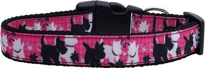

Mirage Pet Products Dog Everyday Collar(, Multicolor