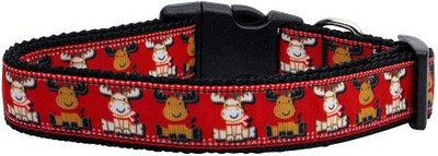 

Mirage Pet Products Dog Everyday Collar(, Multicolor