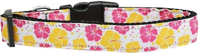 

Mirage Pet Products Dog Everyday Collar(, Multicolor