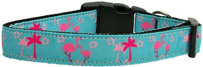 

Mirage Pet Products Dog Everyday Collar(, Multicolor