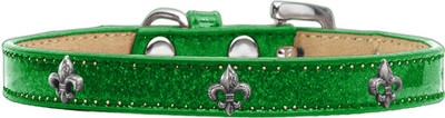 

Mirage Pet Products Dog Everyday Collar(, Green