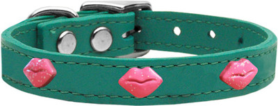 

Mirage Pet Products Dog Everyday Collar(, Blue