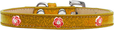 

Mirage Pet Products Dog Everyday Collar(, Gold