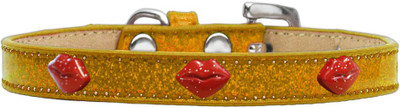 

Mirage Pet Products Dog Everyday Collar(, Gold