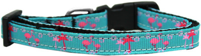 

Mirage Pet Products Dog Everyday Collar(, Multicolor