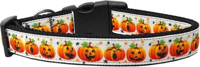 

Mirage Pet Products Dog Everyday Collar(, Multicolor