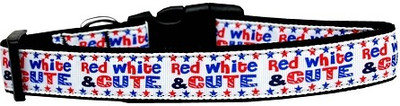 

Mirage Pet Products Dog Everyday Collar(, Multicolor
