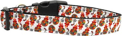 

Mirage Pet Products Dog Everyday Collar(, Multicolor