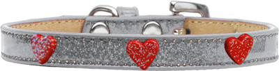

Mirage Pet Products Dog Everyday Collar(, Silver