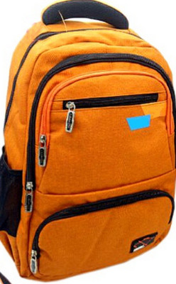 

care 4 Multipurpose backbag Waterproof Backpack(Orange, 22 L)