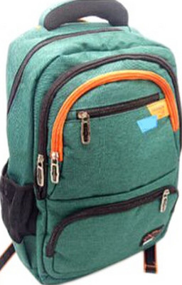 

care 4 Multipurpose backbag Waterproof Backpack(Green, 22 L)