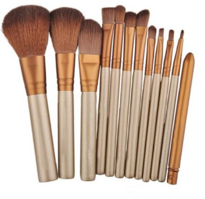 

Boldnyoung Make up Brush Set with Storage Box (Pack of 12)(Pack of 12)