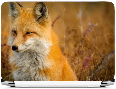 

PRINTHUBS Laptop Protector Vinyl Laptop Decal 15.6 _LS-458 Vinyl Laptop Decal 15.6