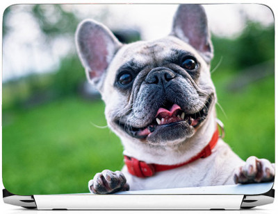 

PRINTHUBS Laptop Protector Vinyl Laptop Decal 15.6 _LS-420 Vinyl Laptop Decal 15.6