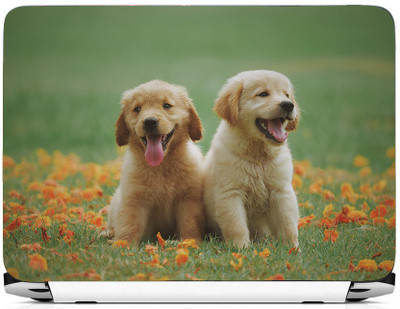 

PRINTHUBS Laptop Protector Vinyl Laptop Decal 15.6 _LS-419 Vinyl Laptop Decal 15.6
