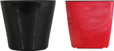 

Divine Tree Self Watering Planter Pot for Indoor Flowering Plants | Flower Pots for Gardening Plant Container Set(Pack of 2, Plastic)