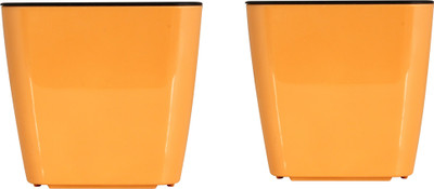 

Divine Tree Self Watering Planter Pot for Indoor Flowering Plants | Flower Pots for Gardening Plant Container Set(Pack of 2, Plastic)