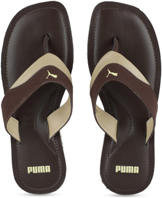 

Puma Wonton IDP Slippers, Chocolate brown