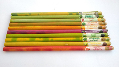 

Pro Guard Environment Friendly Plantable Bio Grow Pencil(Set of 10, Multicolor)