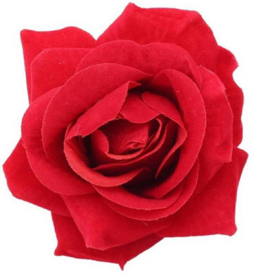 

oddmart hair accessory Hair Clip(Red)