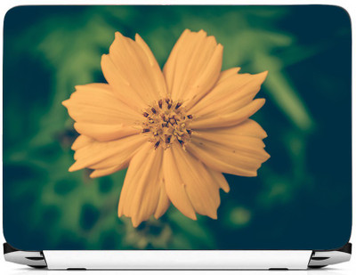 

PRINTHUBS Laptop Protector Vinyl Laptop Decal 15.6 _LS-472 Vinyl Laptop Decal 15.6