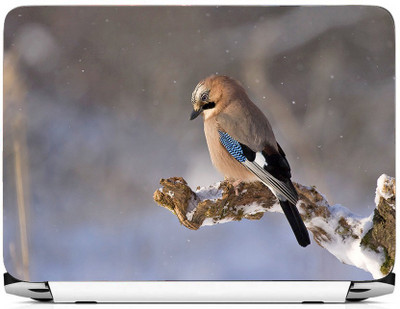 PRINTHUBS Laptop Protector Vinyl Laptop Decal 15.6 _LS-457 Vinyl Laptop Decal 15.6