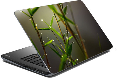 

meSleep Nature LS-47-365 Vinyl Laptop Decal 14