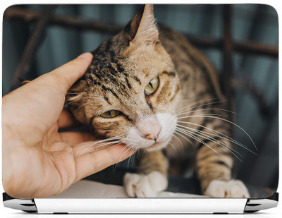 

PRINTHUBS Laptop Protector Vinyl Laptop Decal 15.6 _LS-461 Vinyl Laptop Decal 15.6