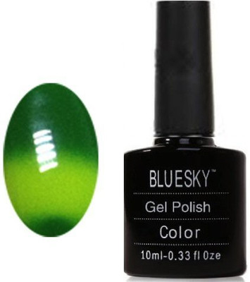 

Blue Sky Chameleon Rainforest Green