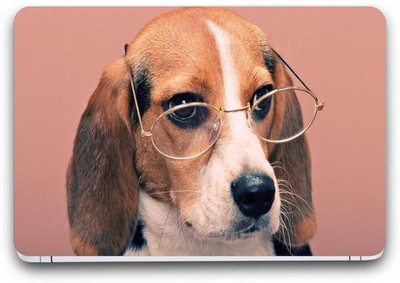 

Gallery 83 ® funny wallpaper laptop skin sticker decal, (15 inch x 10 inch) 4335 vinyl laptop decal 15.6 vinyl Laptop Decal 15.6
