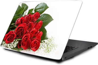

LUCANT LTPC-LOT-1-345 Vinyl Laptop Decal 15.6