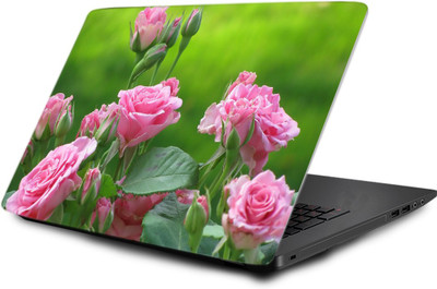 

LUCANT LTPC-LOT-1-072 Vinyl Laptop Decal 15.6