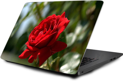 

LUCANT LTPC-LOT-1-290 Vinyl Laptop Decal 15.6