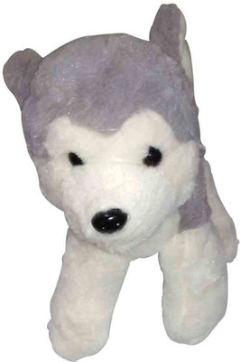 

Healing Crystals India Soft Plus Stuffed Animal Cartoon ToysFor Kids(Boys-Girls) Birthday Gift Baby Showers Home Decoration (Puppy- 22cm L,165W) - 18 cm(Multicolor)