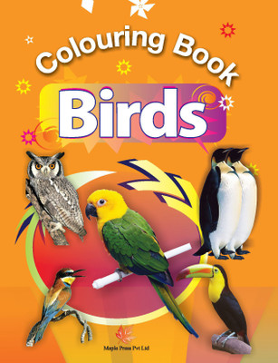 Birds(English, Paperback, Maple Press)