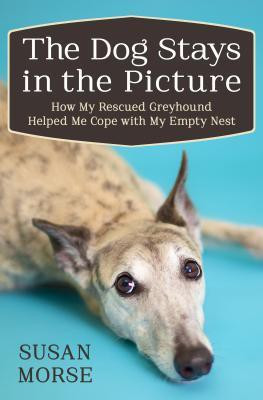 The Dog Stays in the Picture(English, Paperback, Morse Susan)