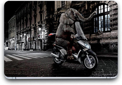 

Gallery 83 bike rider wallpaper laptop decal 3760 vinyl Laptop Decal 15.6