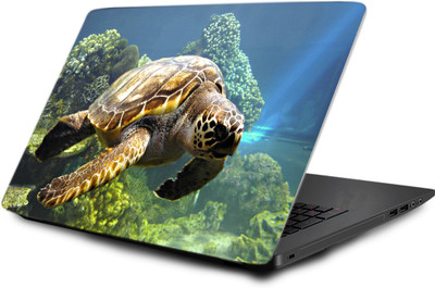 

LUCANT LTPC-LOT-1-484 Vinyl Laptop Decal 15.6