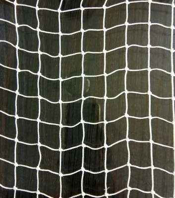 

Armor ANTI BIRD NET 10ftx6ft (60 Sq Ft) HIG0H QUALITY NYLON BIRD MESH(WHITE)with 30pcs PLASTIC CABLE CLIPS Camping Net(White)