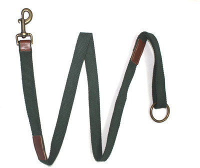 

JAINSONS PET PRODUCTS 146 cm Dog Strap Leash(Green)