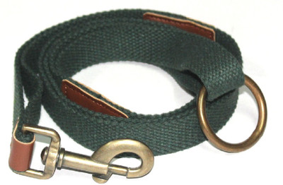 

Jainsons Pet Products LEASH GREEN 0.75 inch 146 cm Dog Strap Leash(Green)