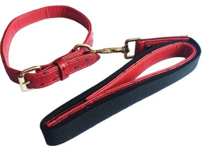 

Pet Connect Leather Dog Collar and Leash Set - Rocktar Red - Size  Dog Collar & Leash(, Peppy Red
