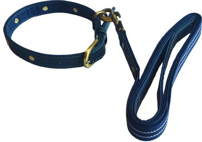 

Pet Connect Leather Dog Collar and Leash Set - Blue Croco - Size  Dog Collar & Leash(, Royal Blue