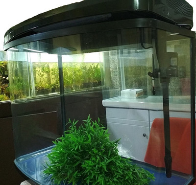 

RS 380A Black Round Ends Aquarium Tank(30)